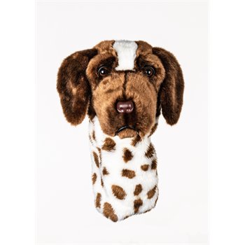 German Shorthaired Pointer