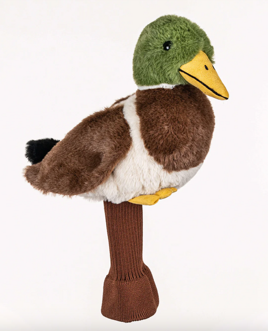 Mallard Duck