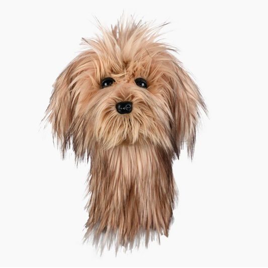 Scruffy Dog